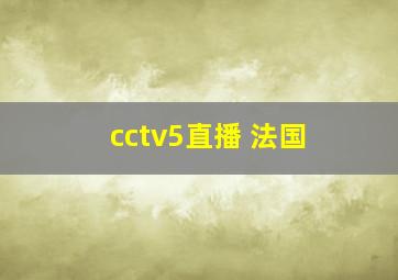 cctv5直播 法国